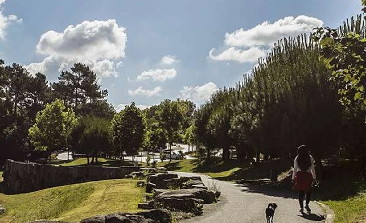 Apartamento T2 para Venda em Campanhã Foto 7