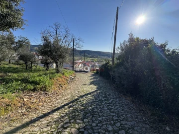 Terreno para Venda em São Salvador da Aramenha