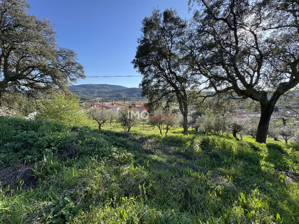 Terreno para Venda em São Salvador da Aramenha Foto 2
