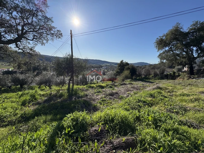 Terreno para Venda em São Salvador da Aramenha Foto 4