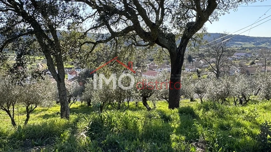 Terreno para Venda em São Salvador da Aramenha