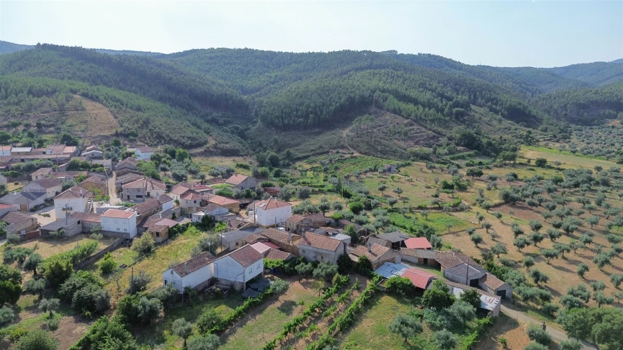 Moradia T3 para Venda em Sarzedas Foto 15