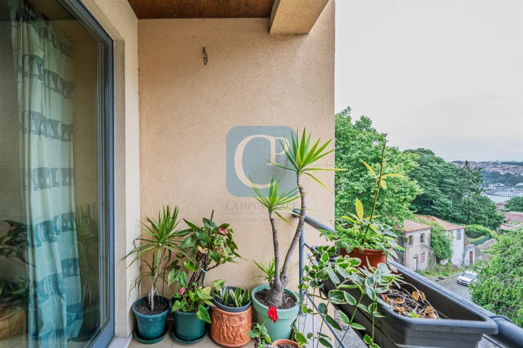 Apartamento T1 para Venda em Lordelo do Ouro e Massarelos Foto 18