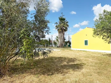 Moradia T4 para Venda em Glória do Ribatejo e Granho