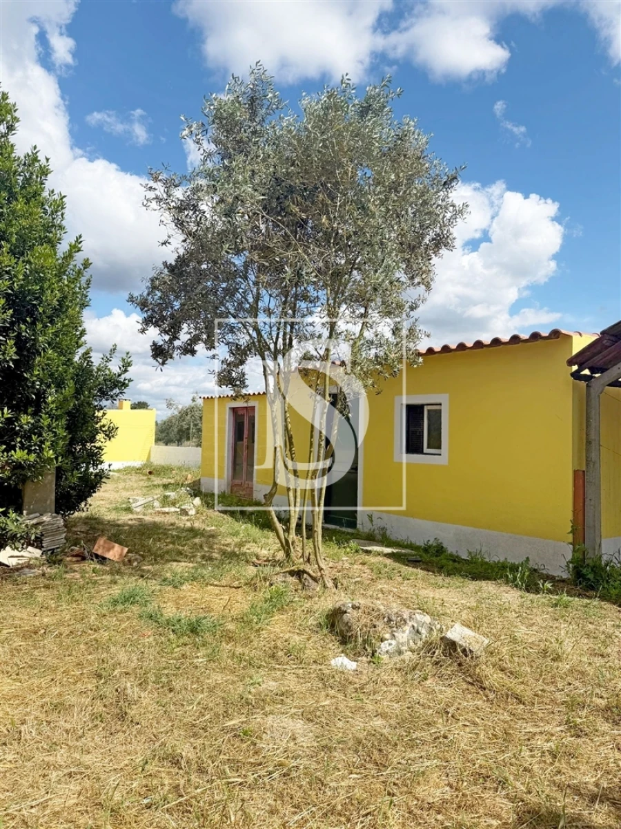 Moradia T4 para Venda em Glória do Ribatejo e Granho Foto 79
