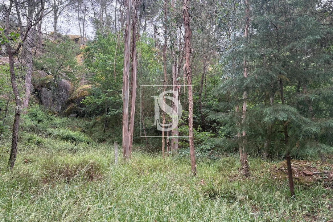 Terreno Agricola ou Rústico para Venda em Faíl e Vila Chã de Sá Foto 14