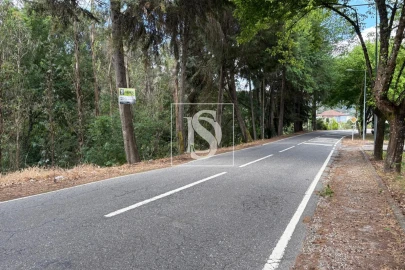 Terreno Agricola ou Rústico para Venda em Faíl e Vila Chã de Sá