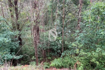 Terreno Agricola ou Rústico para Venda em Faíl e Vila Chã de Sá