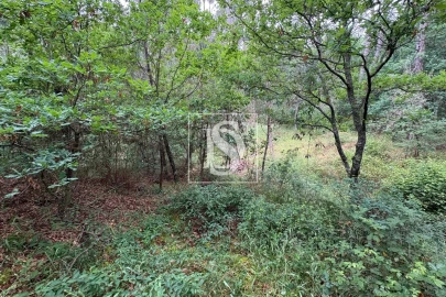 Terreno Agricola ou Rústico para Venda em Faíl e Vila Chã de Sá