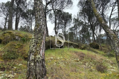 Terreno Agricola ou Rústico para Venda em Faíl e Vila Chã de Sá