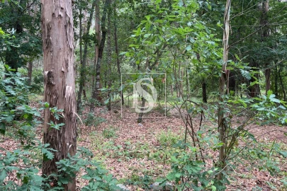 Terreno Agricola ou Rústico para Venda em Faíl e Vila Chã de Sá