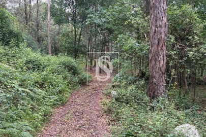 Terreno Agricola ou Rústico para Venda em Faíl e Vila Chã de Sá