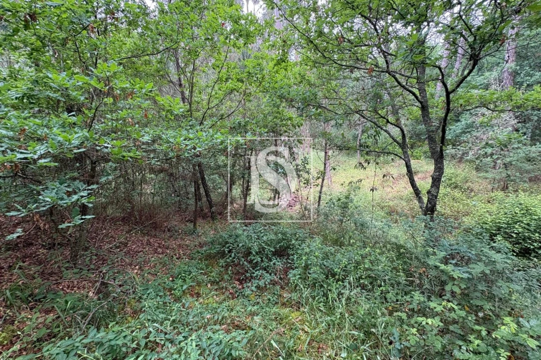 Terreno Agricola ou Rústico para Venda em Faíl e Vila Chã de Sá Foto 12