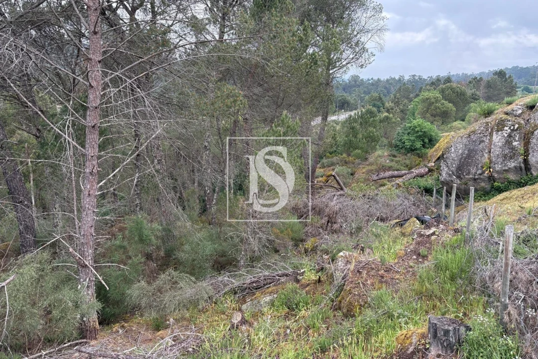 Terreno Agricola ou Rústico para Venda em Faíl e Vila Chã de Sá Foto 7