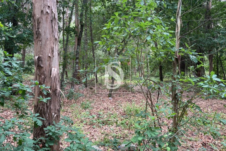 Terreno Agricola ou Rústico para Venda em Faíl e Vila Chã de Sá Foto 10