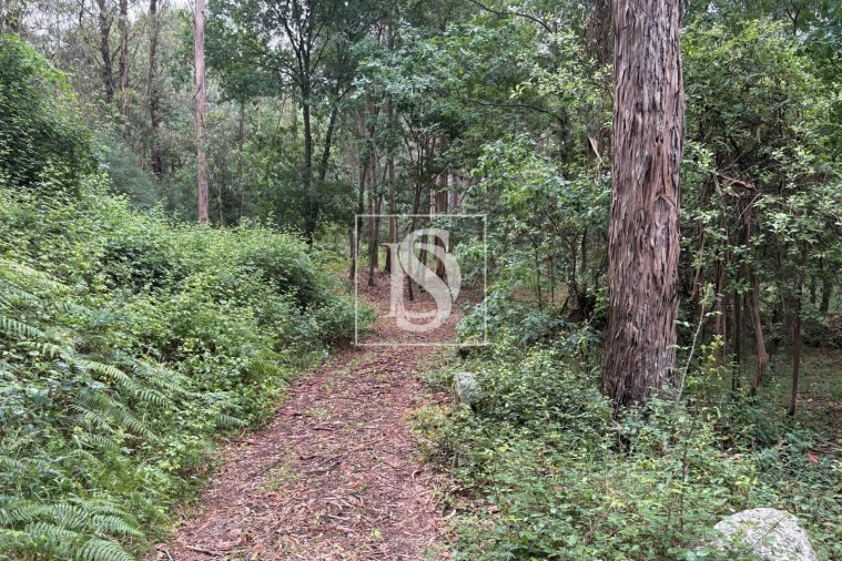 Terreno Agricola ou Rústico para Venda em Faíl e Vila Chã de Sá Foto 5