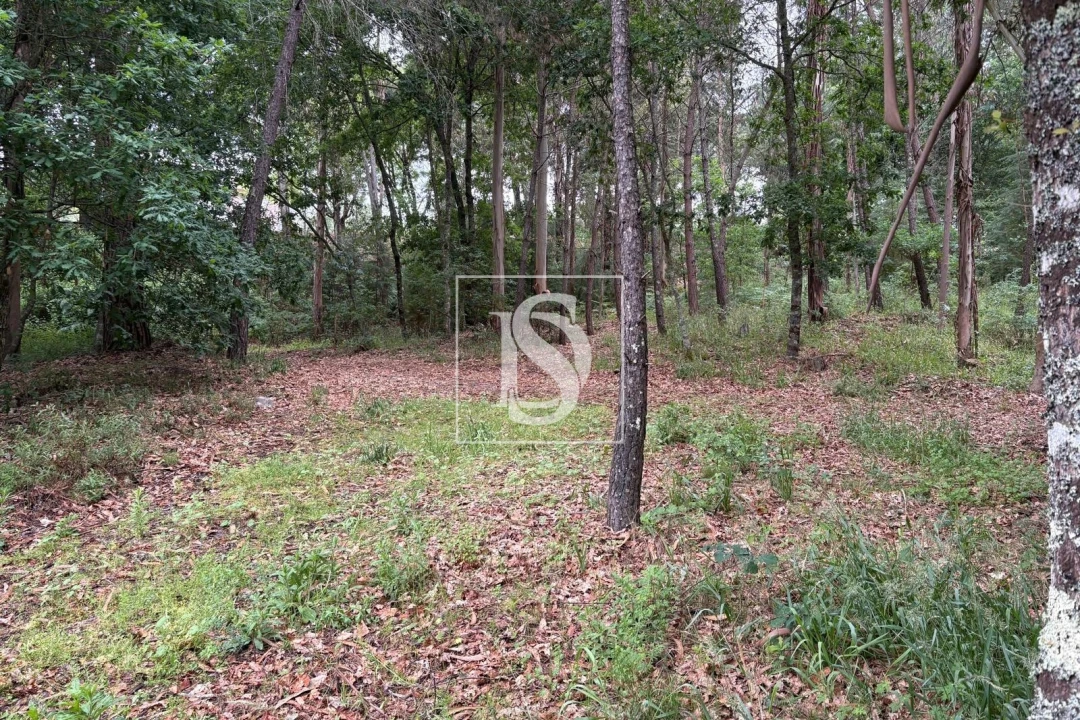 Terreno Agricola ou Rústico para Venda em Faíl e Vila Chã de Sá Foto 11