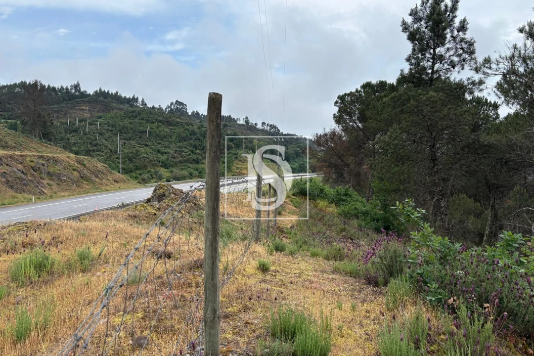 Terreno Agricola ou Rústico para Venda em Faíl e Vila Chã de Sá Foto 4