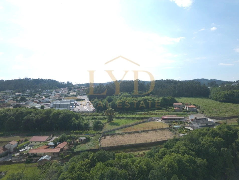 Terreno para Venda em Cesar Foto 4