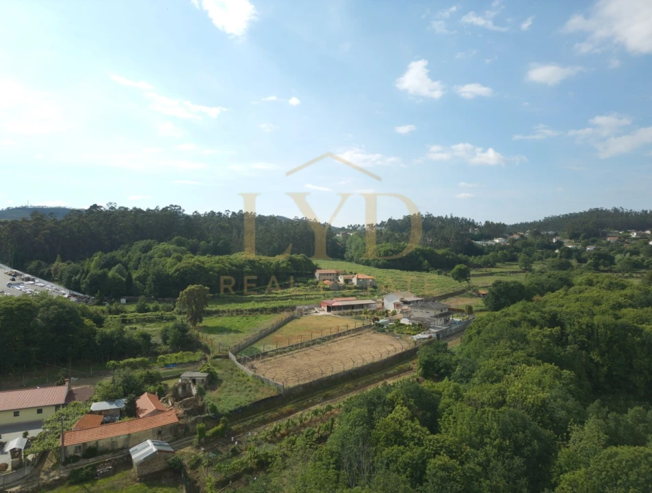 Terreno para Venda em Cesar Foto 7