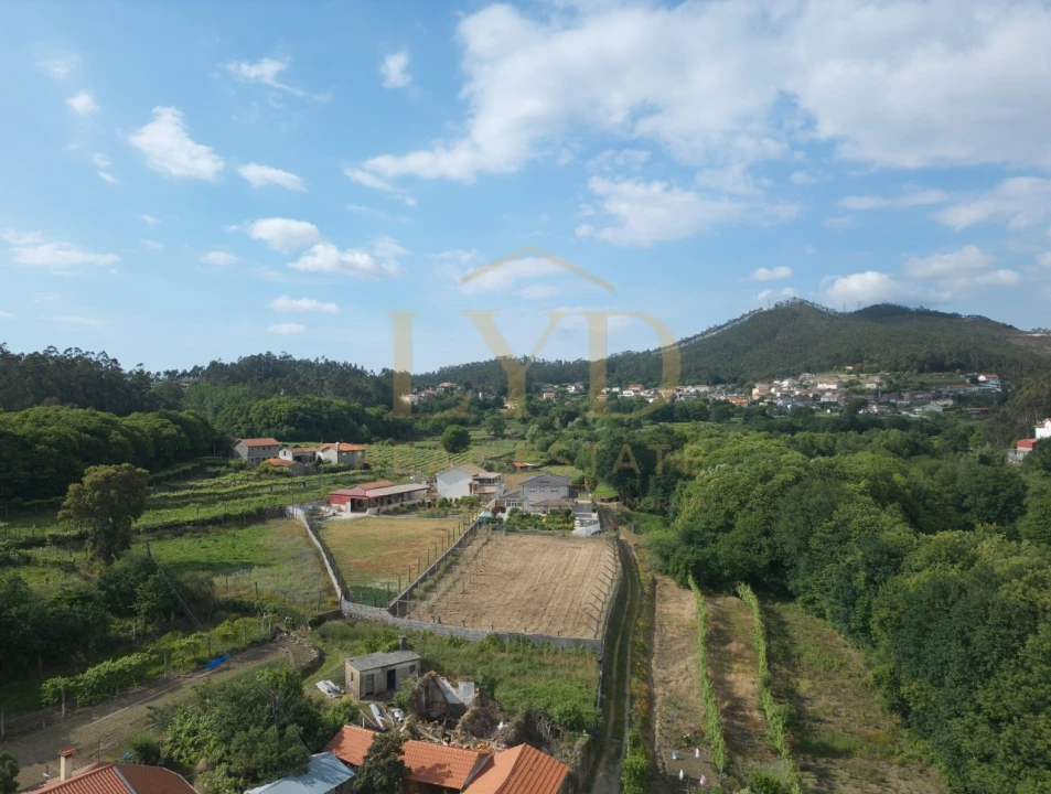 Terreno para Venda em Cesar Foto 10