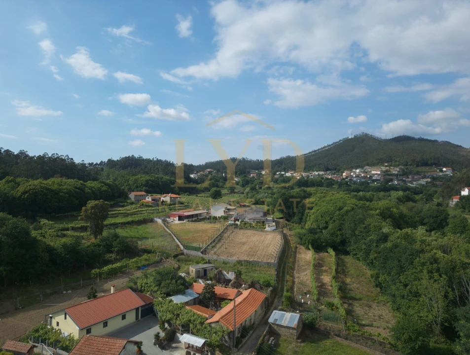 Terreno para Venda em Cesar Foto 14