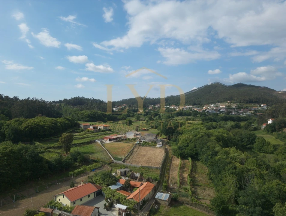 Terreno para Venda em Cesar Foto 15