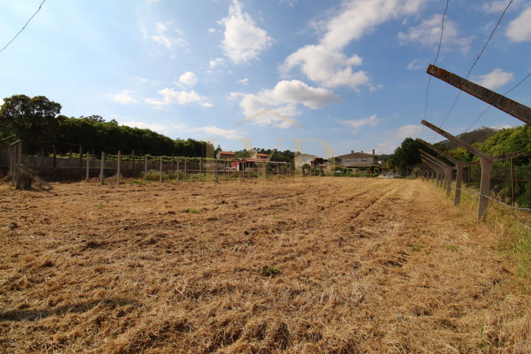 Terreno para Venda em Cesar Foto 17