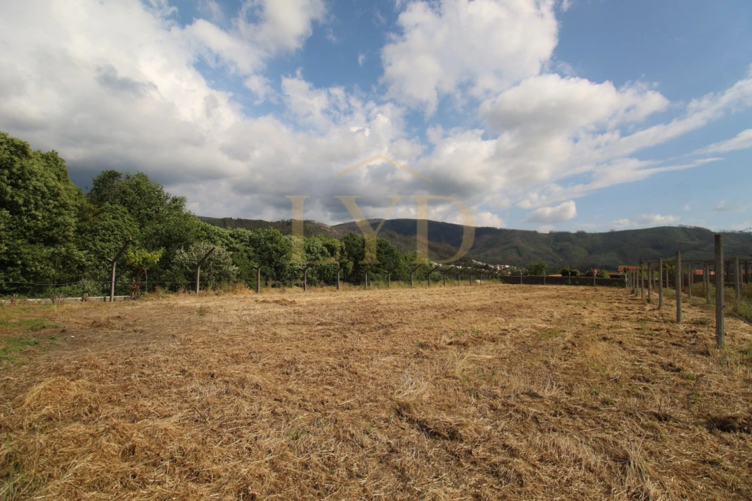 Terreno para Venda em Cesar Foto 20