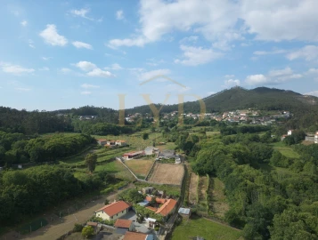 Terreno para Venda em Cesar