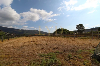 Terreno para Venda em Cesar