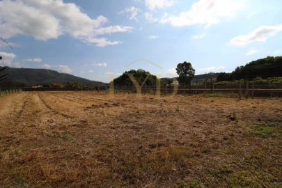 Terreno para Venda em Cesar