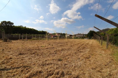 Terreno para Venda em Cesar