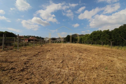 Terreno para Venda em Cesar