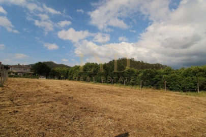 Terreno para Venda em Cesar