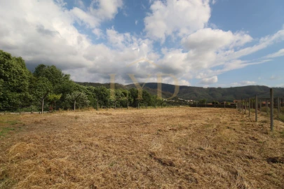 Terreno para Venda em Cesar