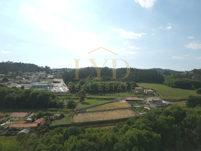 Terreno para Venda em Cesar Foto 3