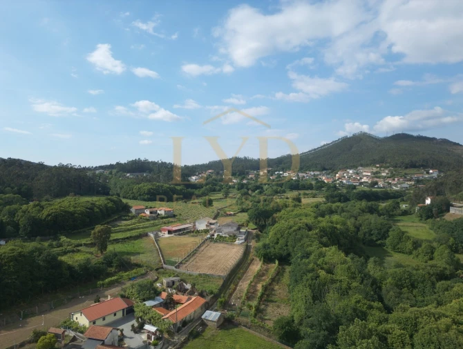 Terreno para Venda em Cesar Foto 8