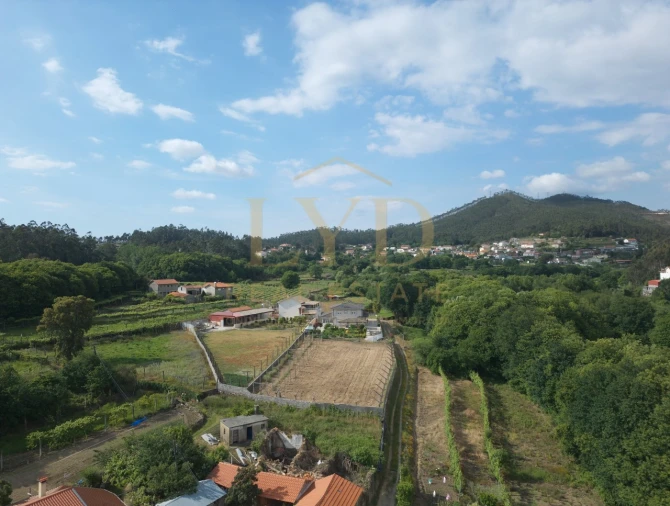 Terreno para Venda em Cesar Foto 10