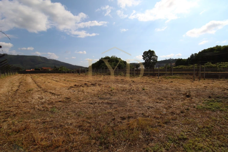 Terreno para Venda em Cesar Foto 13