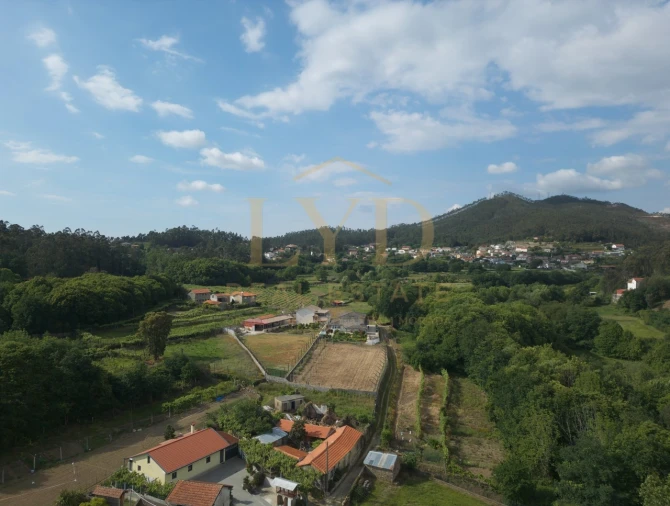 Terreno para Venda em Cesar Foto 15