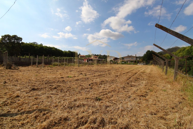 Terreno para Venda em Cesar Foto 17