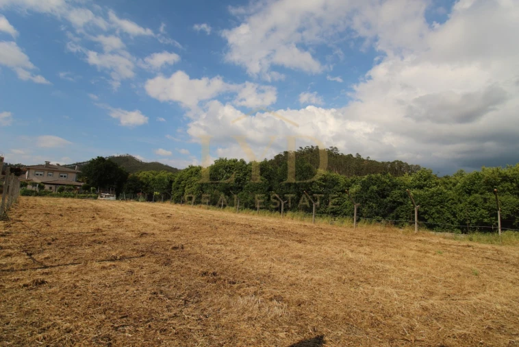 Terreno para Venda em Cesar Foto 19