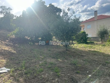 Terreno para Venda em Sardoal