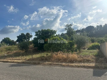 Terreno para Venda em Sardoal