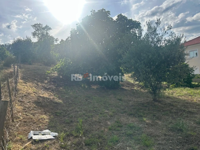 Terreno para Venda em Sardoal Foto 2