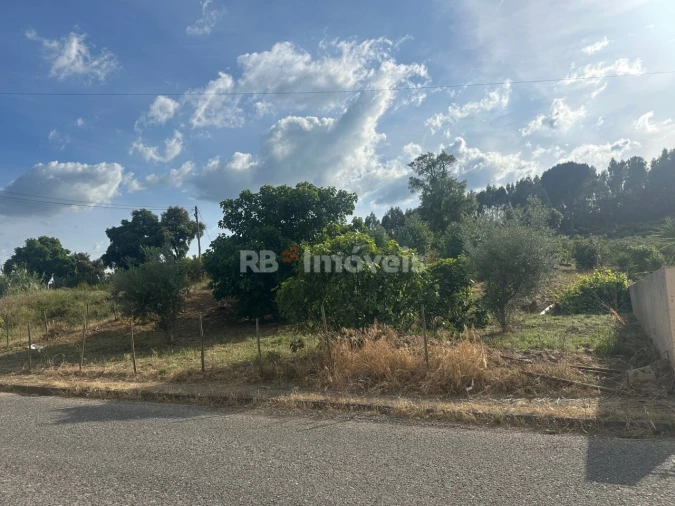 Terreno para Venda em Sardoal Foto 4