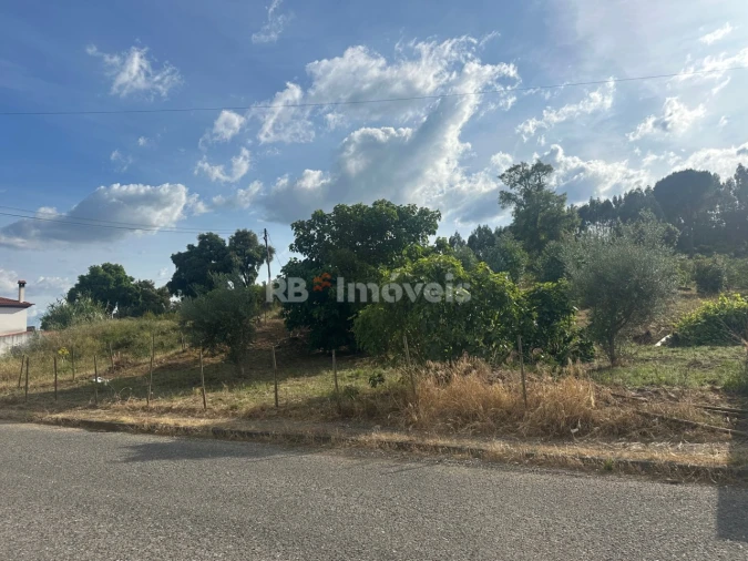 Terreno para Venda em Sardoal Foto 5