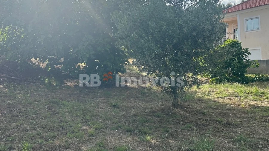 Terreno para Venda em Sardoal