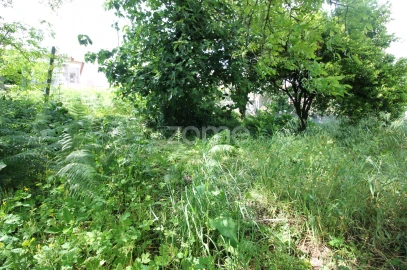 Terreno para Venda em Cabreiros e Passos (São Julião)
